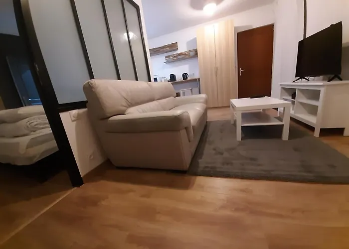 Appartement 2 Pieces, Proche Rer, Bus Et Chateau